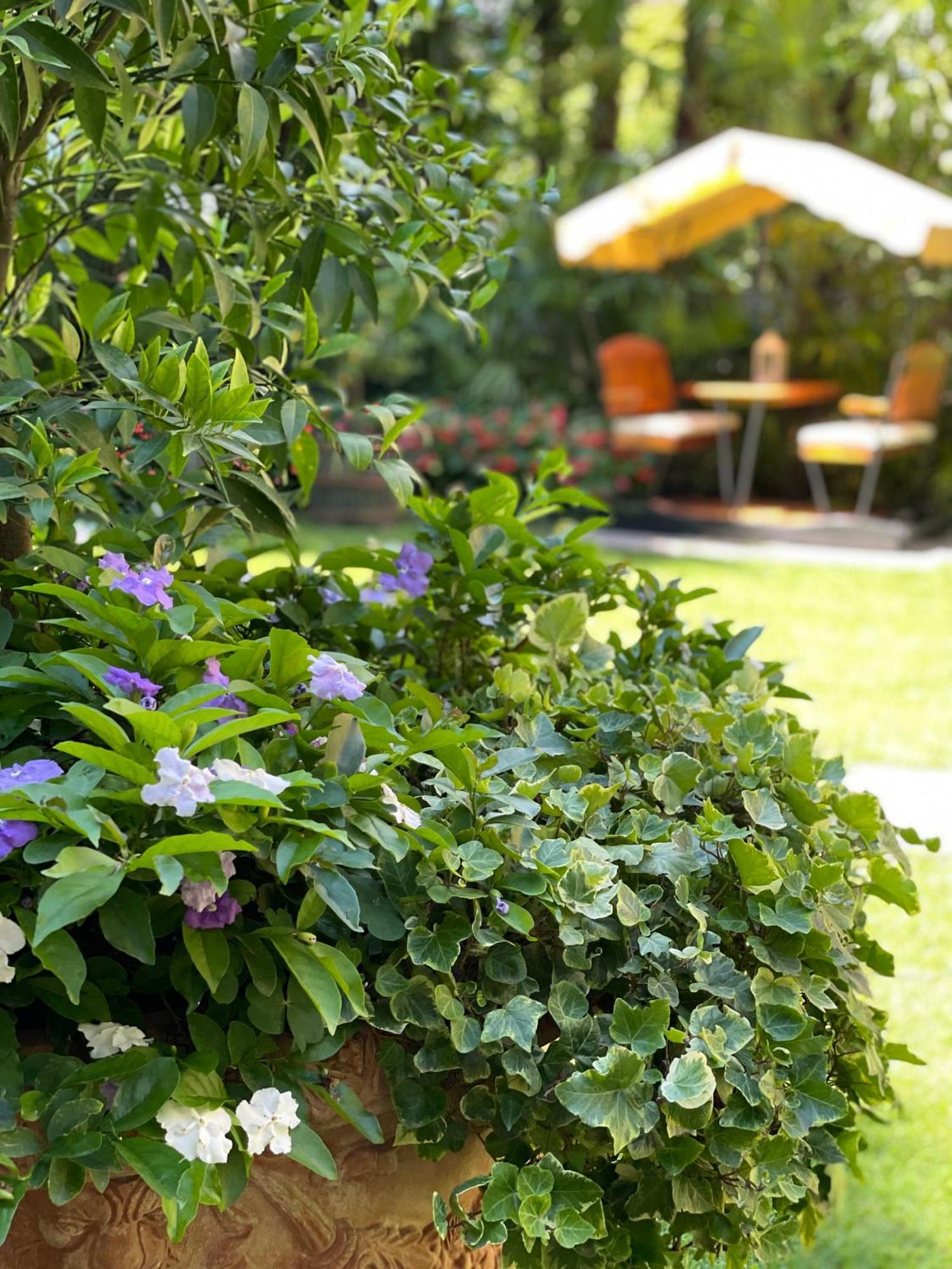 Villa Palmira Kinderfreies Hotel 카노비오 외부 사진